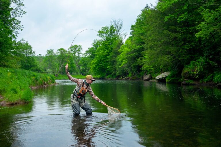 Conservation - Theodore Gordon Flyfishers